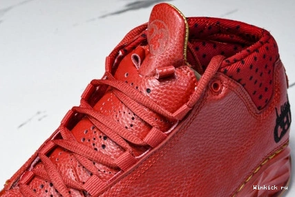 Chicago 23 Jordan 1115